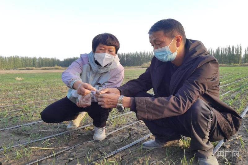 博湖县农业农村局最新发展规划，塑造乡村新未来，博湖县农业农村局最新发展规划，塑造乡村美好新未来