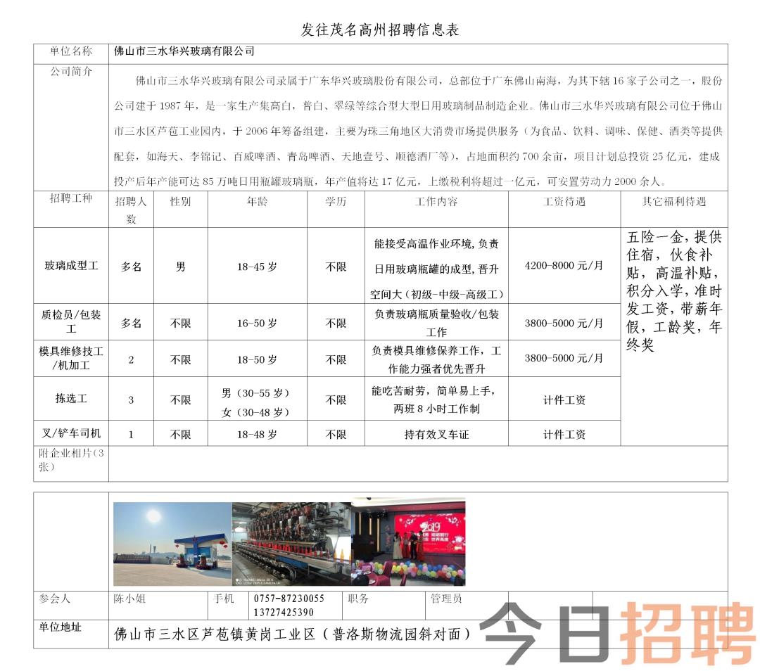 止马镇最新招聘信息全面更新，全方位覆盖各类职位需求，止马镇最新招聘信息发布，全方位职位需求覆盖