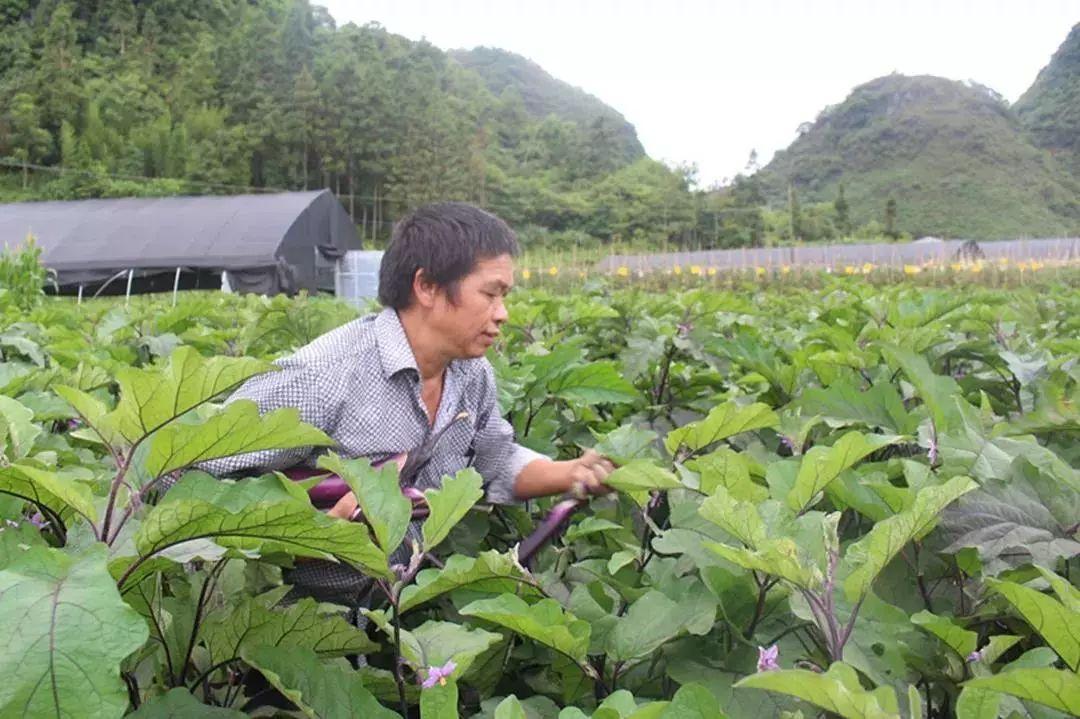 玉屏街道最新交通新闻，玉屏街道交通最新动态