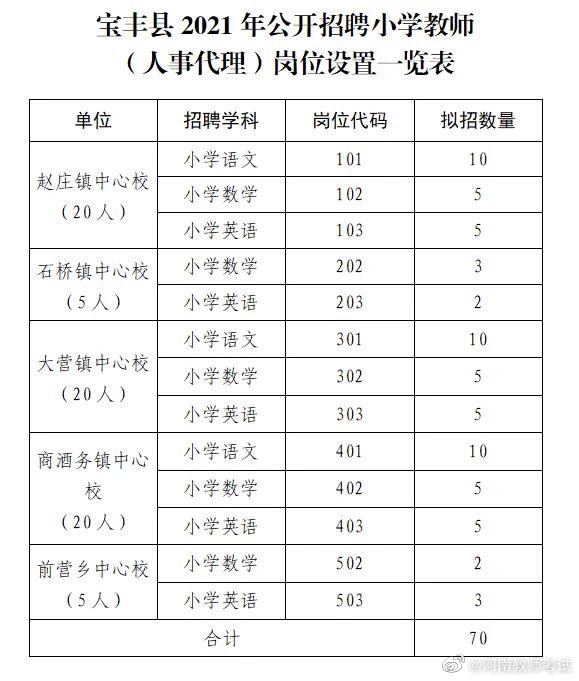 宝丰县小学最新招聘信息概览，宝丰县小学最新招聘启事概览